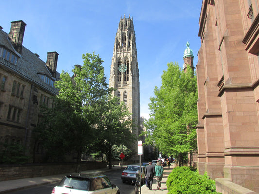 Top 10 Things To Do in New Haven