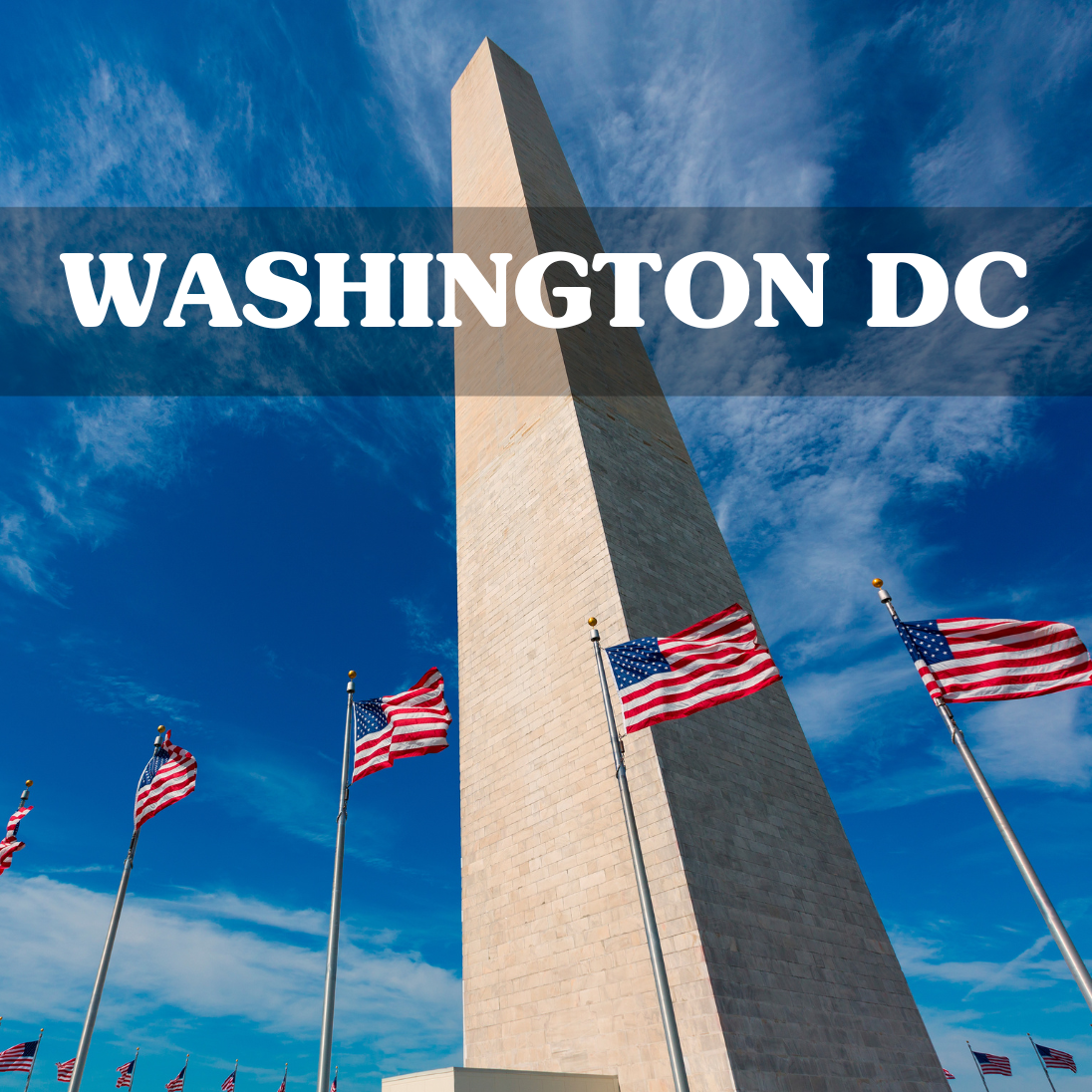 Washington DC '25 • Scavenger Hunt