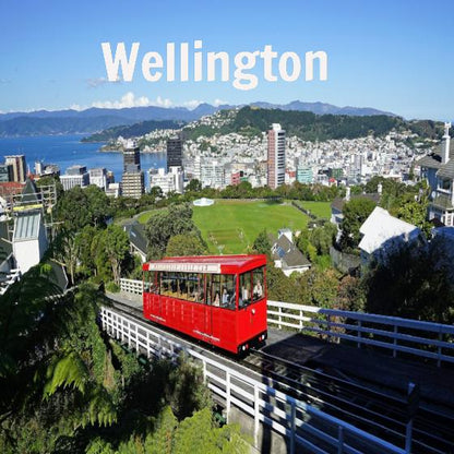 Wellington, NZ • Scavenger Hunt